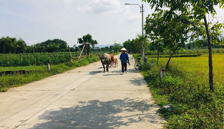 Rural life on the way to Ba Na Hills (Golden Bridge)