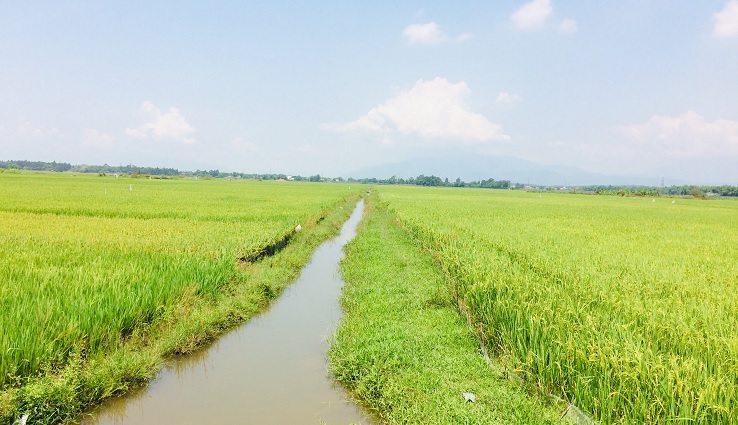 Countryside on the way to Ba Na Hills (Golden Bridge)