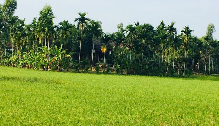 Countryside on the way to Ba Na Hills (Golden Bridge)