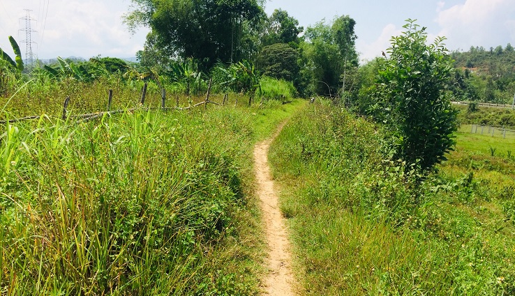 Best route from Hoi An to Ba Na Hills (Golden Bridge)