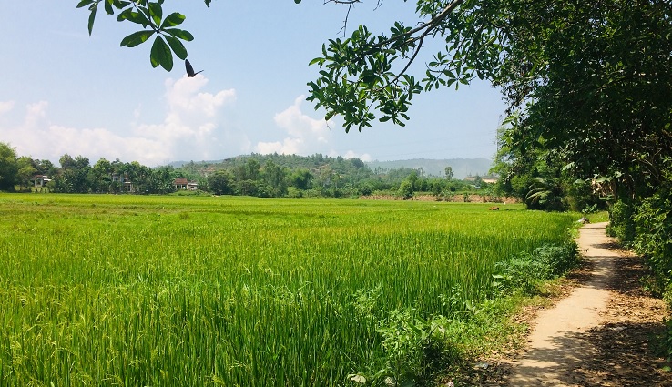 Best route from Hoi An to Ba Na Hills (Golden Bridge)