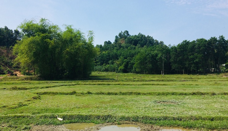 Countryside on the way to Ba Na Hills (Golden Bridge)