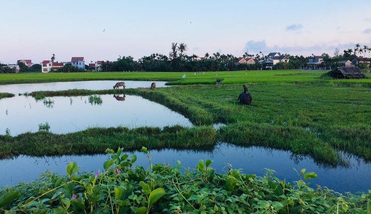 Hoi An Countryside - Tra Que Vegetables Village