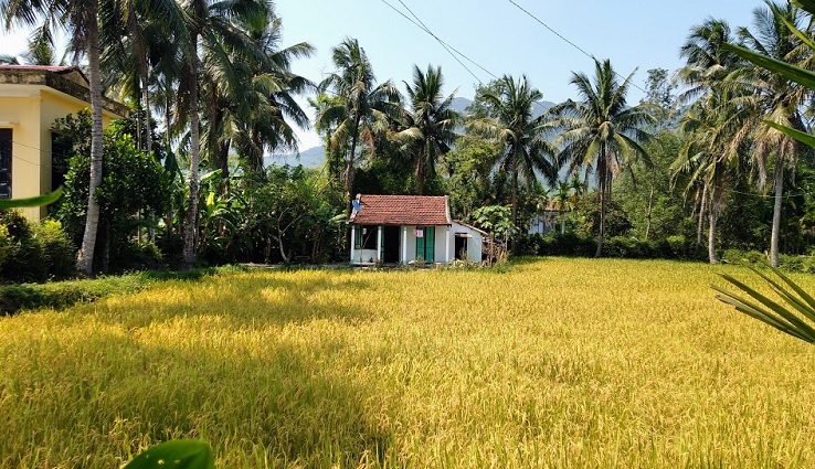 Best route Hoi An to Hue - Countryside