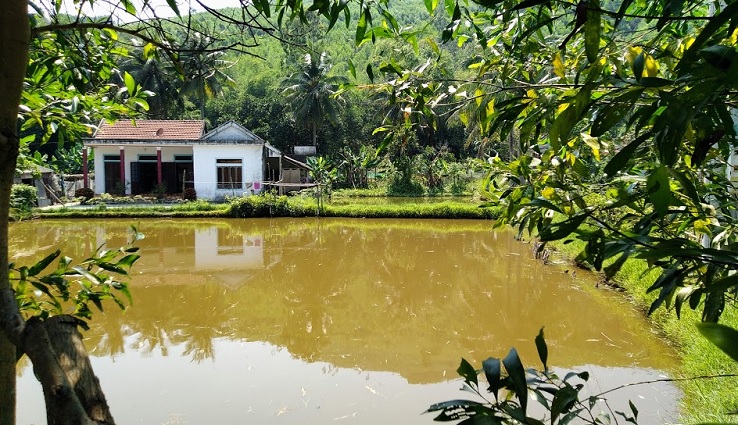 Best route Hoi An to Hue - Countryside