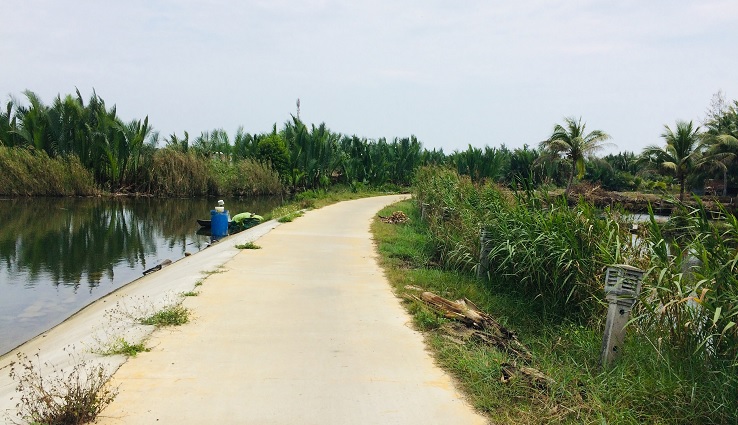 Nipa palm forrest in Cam Thanh, Hoi An