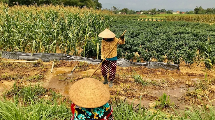 Countryside Hoi An