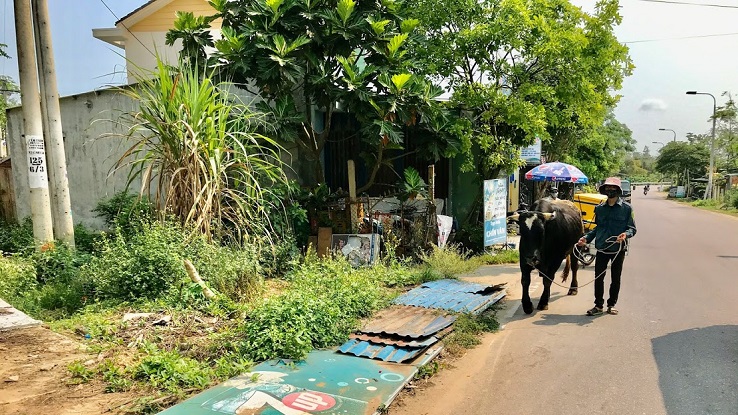 Rural life in Hoi An